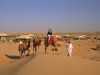 محمية دبي الصحراوية من أفضل نماذج السياحة البيئية في العالم