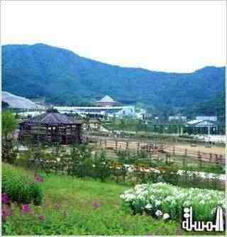 افتتاح أكبر حديقة للأراضى الرطبة للوتس بمدينة تشونغتشينغ غرب الصين يوليو المقبل