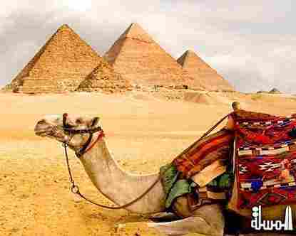 جودة :  السياحة الدينية سياحة الآثار تسدد ديون مصر خلال 5 سنوات