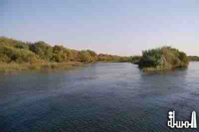 الجزر الفراتية في الرقة تنوع حيوي وطبيعي وبيئة جاذبة تنتظر الاستثمار السياحي