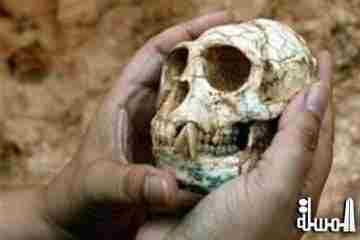 متحف التاريخ الطبيعى بباريس يعرض جمجمة قرد عمره 20 مليون سنة