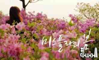 هيئة السياحة الكورية تطلق حملتها الجديدة لجذب الحركة الدولية تحت شعار مملكة الزهور