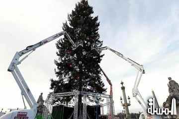 شجرة الكونكورد تحقق رقما قياسيا كأكبر شجرة في أعياد الميلاد