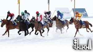 الامارات تنظم أول سباق للخيول العربية على الجليد