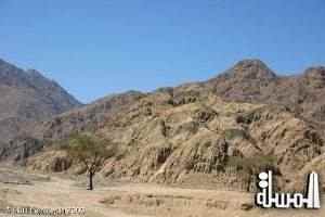 عبداللطيف : الاستثمار السياحي بجنوب سيناء إذا تم بشكل سليم يمكن أن يدر دخلاً يتجاوز ملياراً ونصف دولار شهرياً