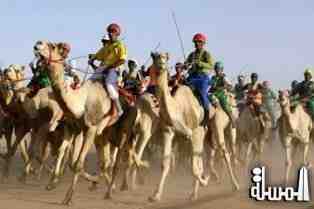 مهرجان الجنادرية يستعد لتنظيم أكبر سباق سنوي للهجن بالمنطقة العربية