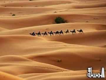 سياحة تونس تطلق مشروع تنمية السياحة الصحراوية في ولايتي قبلي وتوزر