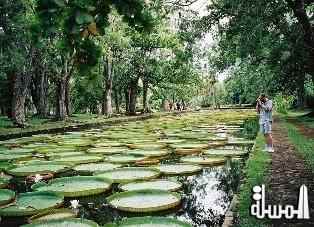 الجمهورية العذراء.. أعجوبة سياحية يجهلها الكثيرون