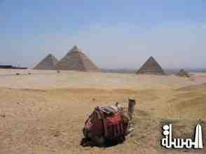 80 % خسائر قطاع السياحة المصرى خلال شهر أغسطس الماضى