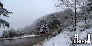 تقطع السبل بـ 86 سائحا في مخيم جبل تشومولانغما بسبب الثلوج الكثيفة