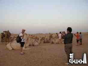 وزير سياحة موريتانيا : قدوم 200 سائح لولاته نجاح للموسم السياحي