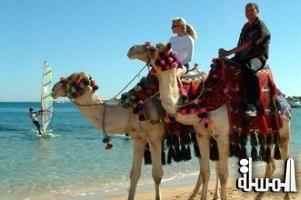 خبراء صناعة السياحة بالنمسا يؤكدون تحسن حجوزات برامج الموسم الشتوي فى مصر