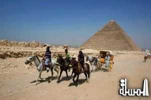 نائب بريطاني: أنقذوا السياحة في مصر