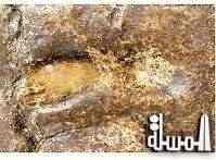 اكتشاف آثار أقدام بشرية عملاقة بصخور أنزا قرب أكادير