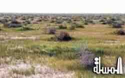 هيئة البيئة : المواقع السياحية البيئية بالكويت تعاني الإهمال