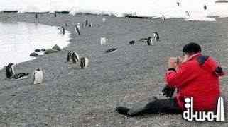 علماء تحذر من تهديد السياحة على البيئة في القطب الجنوبي