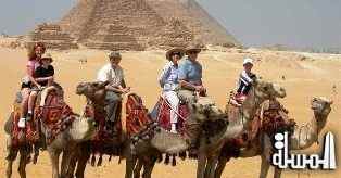 “See Egypt” – a new travel website? A motto for a new tourism promotion? An online spying campaign?