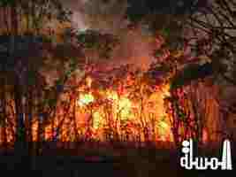 حرائق الغابات تعرقل الرحلات الجوية في إقليم سومطرة الإندونيسي