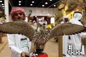 The 2014 International Festival of Falconry attracts participation from 80 countries