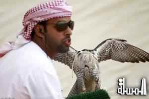 انطلاق مسابقات مهرجان الشيخ زايد التراثي للصيد بالصقور غدا