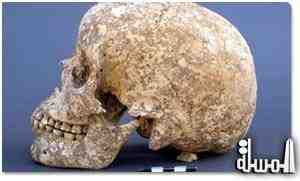 اكتشاف جمجمة فى الصين تكشف عن عملية جراحة للدماغ تعود لـ 3500 عام