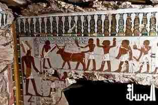 Amazing Discovery in Luxor