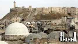 دعوات لحماية الآثار السورية من 