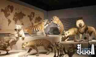 افتتاح أول متحف طبيعة تحت موضوع محدد في العالم بشانجهاي يضم 290 ألف قطعة
