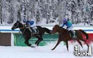 مهرجان منصور بن زايد للخيول العربية ينطلق في السويد غدا