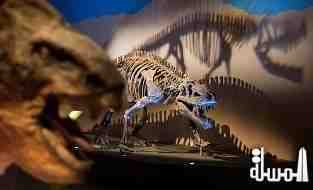 اكتشاف نوع جديد من الديناصورات يعود الى 65 مليون سنة