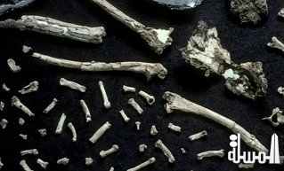 اكتشاف عظمتين متحجرتين لهيكل بشرى قبل 100 ألف سنة في وسط الصين