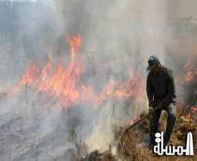 وزارة البيئة تهيب بالمزارعين الامتناع عن حرق المخلفات الزراعية حفاظا علي صحة المواطنين