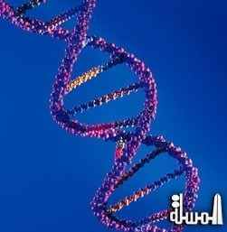الوراثة : علم القرن العشرين بقلم الدكتور عبدالفتاح بدر