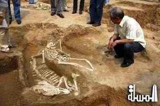 اكتشاف آثار بشرية بشمال الصين تعود إلى ما قبل مليون سنة