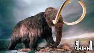 اكتشاف هيكل عظمى لحيوان الماموث يرجع لـ45 ألف سنة
