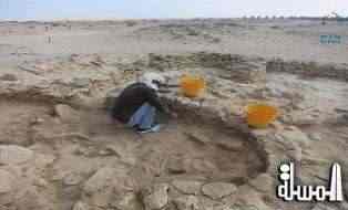 العثور على حفريات جديدة في جزيرة مروح تكشف عن أقدم آثار للمجتمعات الإنسانية في أبوظبي