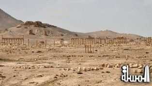 متحف الإرميتاج الروسي يعلن استعداده للمساعدة في ترميم آثار تدمر السورية
