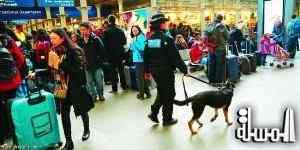 مطارات أميركا تحت حراسة الكلاب البوليسية