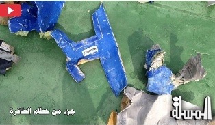نشر أول صور لحطام الطائرة المصرية المنكوبة