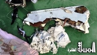 Investigation Progress Report (1) by the Egyptian Aircraft Accident Investigation Committee