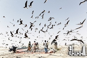 اماكن مميزة في سلطنة عمان لممارسة هواية الصيد