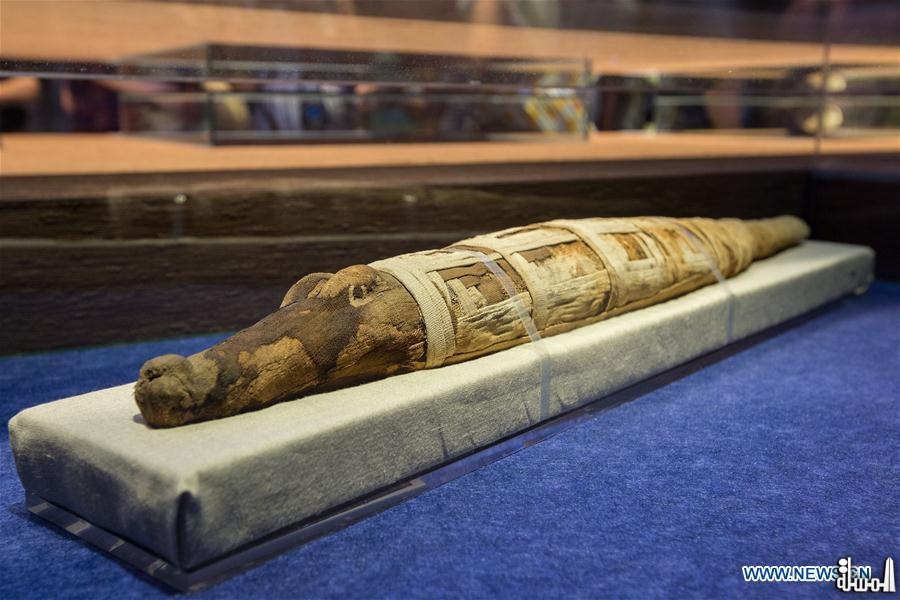معرض بالصين يعرض مومياء مصري يرجع تاريخه إلى ما قبل 3 آلاف سنة
