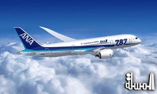 Japan's ANA grounds some Dreamliners