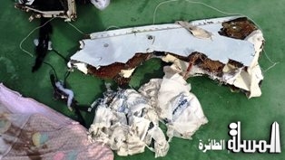 لجنة التحقيق تتقدم ببلاغ للنيابة بعد تيقنها من وجود شبه جنائية وراء سقوط طائرة مصر للطيران بالمتوسط