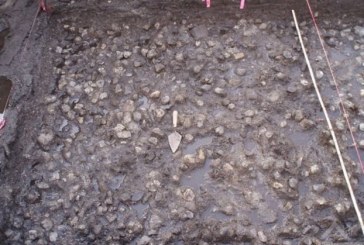 اكتشاف حقل بطاطس يعود إلى 3800 سنة في كندا