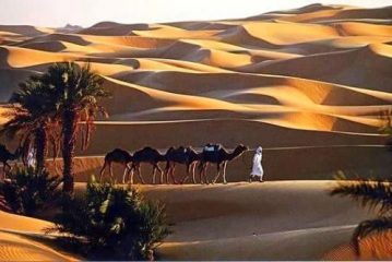 وزير سياحة الجزائر:إختيار الجزائر كقطب جهوي لاحتضان برنامج دعم قدرات بلدان المنطقة