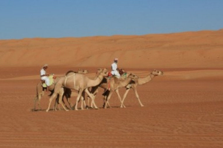 انطلقت مطلع الأسبوع الماضي من ولاية أدم بمحافظة الداخلية رحلة المستكشف الفرنسي غوتييه تيليموند التي يعتزم فيها اكتشاف صحاري سلطنة عمان