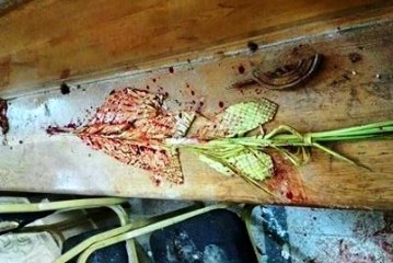 الصحة : استشهاد  6 مواطنين بينهم رائد شرطة اثناء محاولته منع الانتحارى من دخول الكنيسة المرقسية وقوع33 مصاب