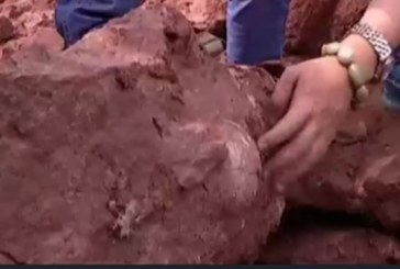بالفيديو .. العثور على بيض ديناصور جنوب الصين