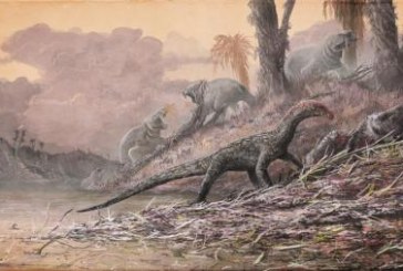 اكتشاف حفريات لكائن يعود لملايين السنين يشبه الديناصورات